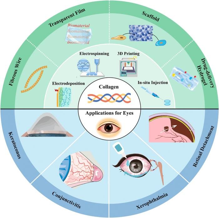�������&nbsp; ��������: �� ��������� ������ �� �������� ����������������� ����������