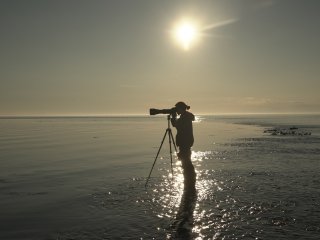 Фотографирование белух. Фото: Максим Толстой / ИО РАН / предоставлено В.В. Красновой