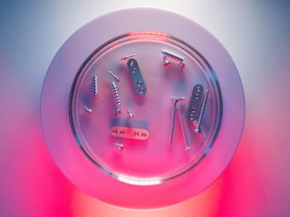 Биорезорбируемые накостные пластины и винты с отрывной головкой. Фото: Сергей Гнусков / пресс-служба Университета МИСИС