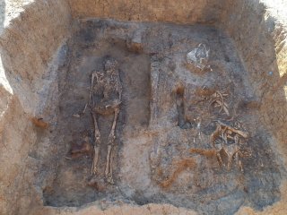 Камерное мужское погребение с конем, оружием и всадническим снаряжением. Суздальский район, Гнездилово. Фото 2026 г. Источник ИА РАН