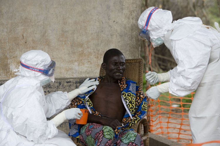 ВОЗ объявила эпидемию лихорадки Эбола международной опасностью