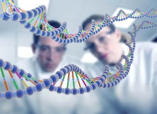 Выделено 3230 ключевых генов у человека