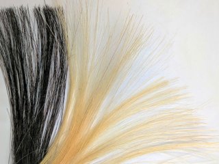 Вместо токсичных красок для волос можно будет использовать графен