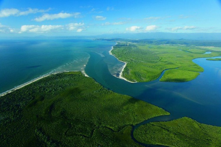 Там, где реки впадают в море: изучение экосистем