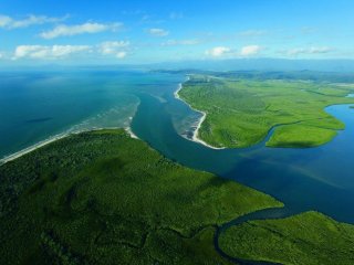 Там, где реки впадают в море: изучение экосистем