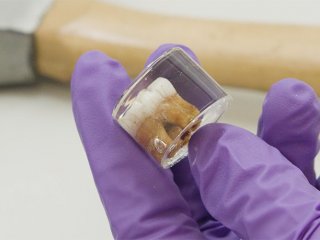 В зубах неандертальцев обнаружены следы свинца